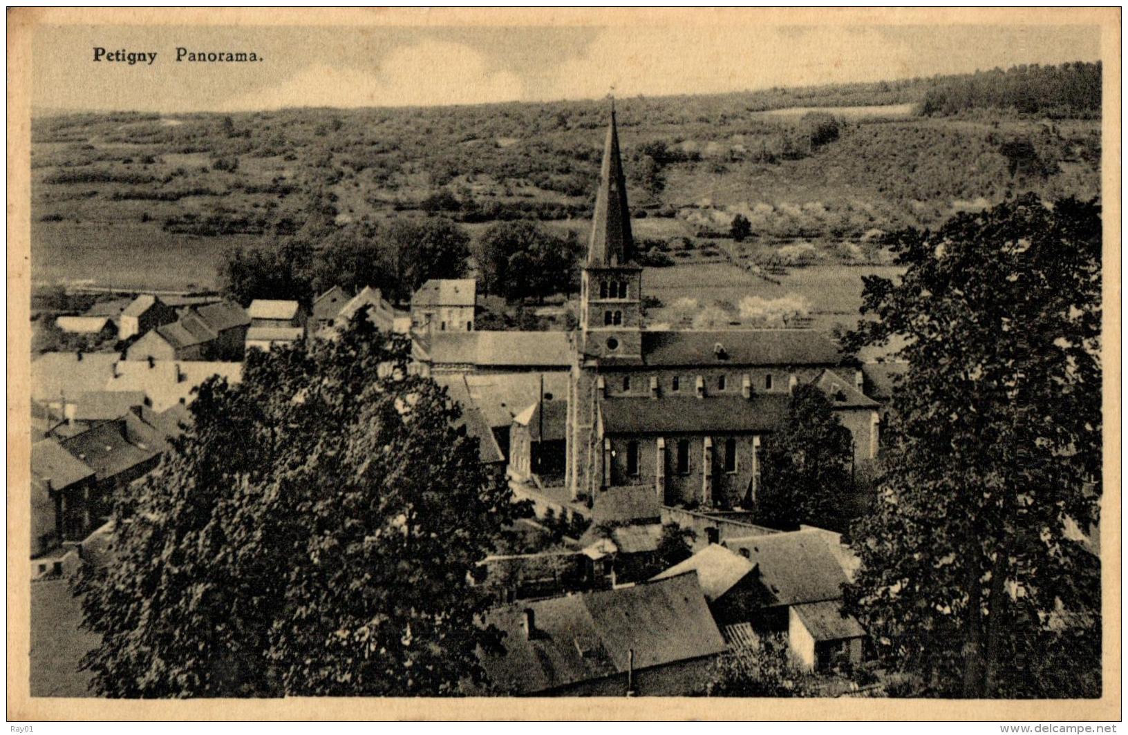 BELGIQUE - NAMUR - COUVIN - PETIGNY - Panorama. - Couvin