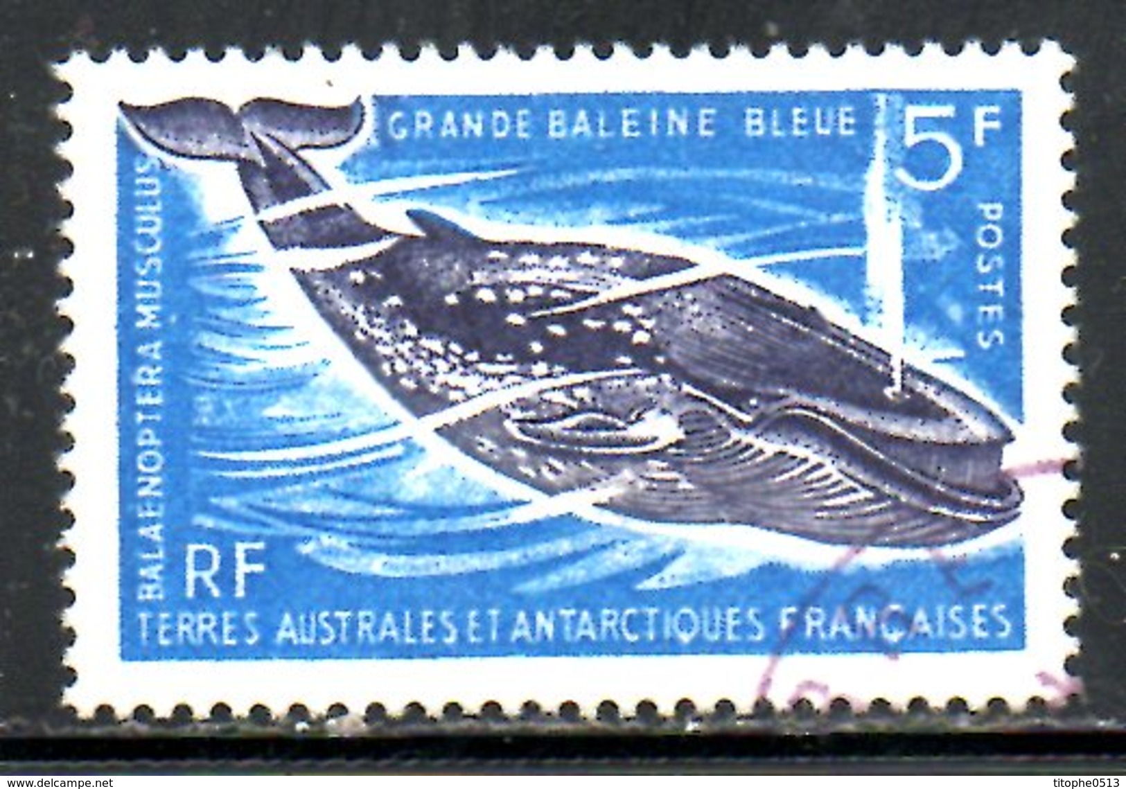 TAAF. N°22 Oblitéré De 1966. Baleine. - Used Stamps