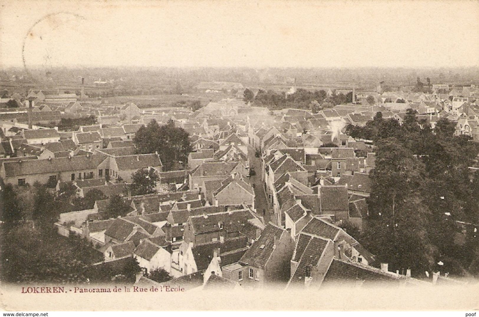 Lokeren : Panorama De La Rue De L'Ecole 1908 - Lokeren