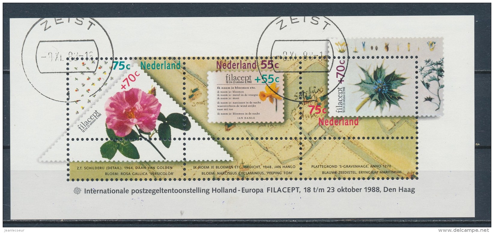 Nederland/Netherlands/Pays Bas/Niederlande 1988 Mi: Block 31 Nvph: 1414 (Gest/cancelled/obl/entw/o)(2836) - Bloks