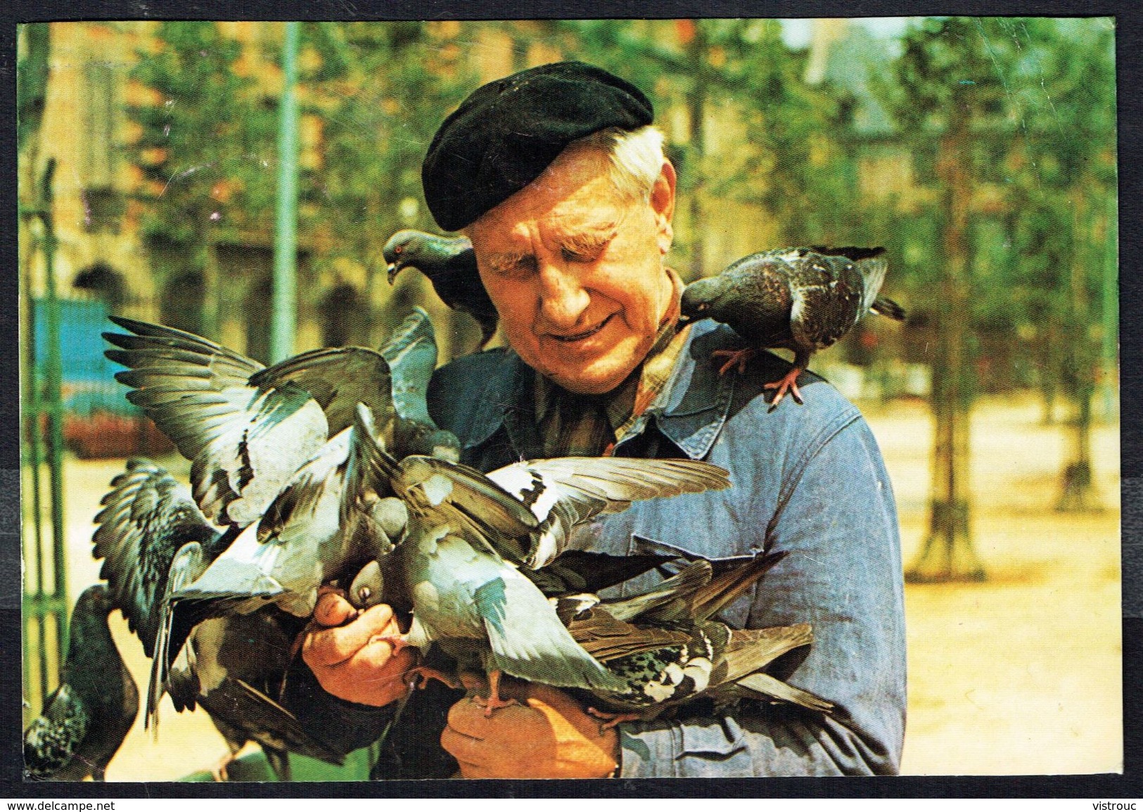 PIGEONS - TAUBE - Circulé - Circulated - Gelaufen - 1983. - Vögel