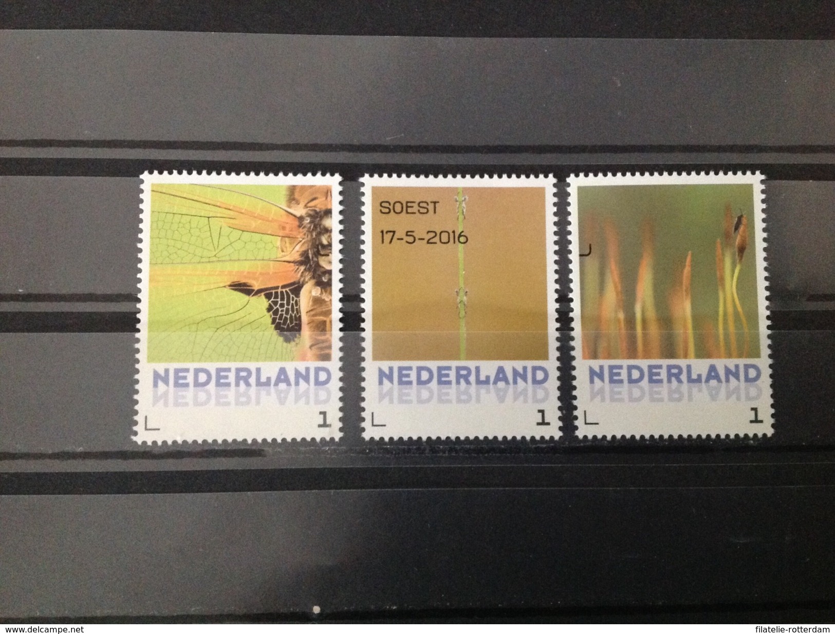 Nederland / The Netherlands - Complete Set Natuurkunst, Viervlek 2016 - Oblitérés