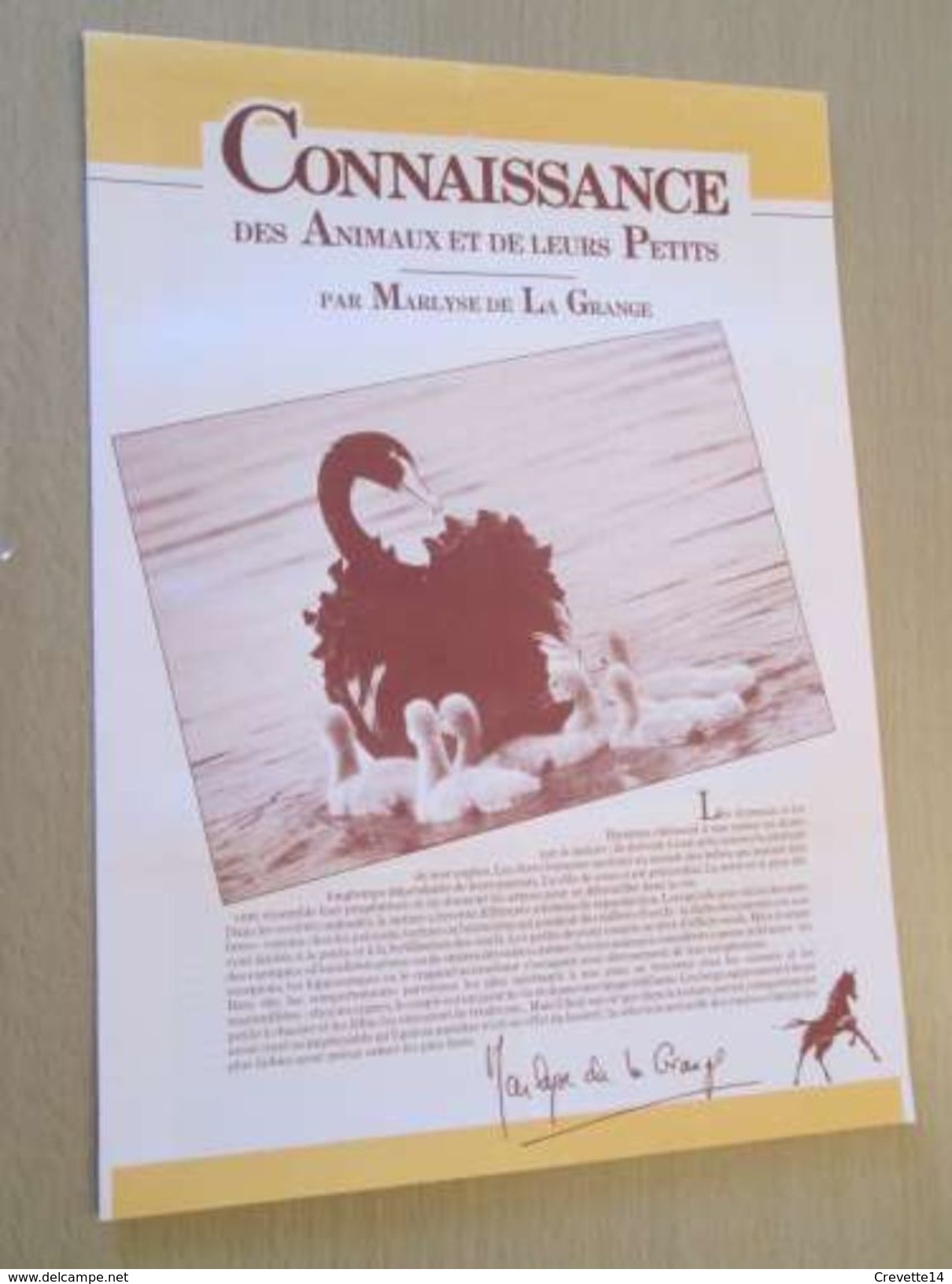 PUB914  Dossiers Chocolat Images Poulain "CONNAISSANCE DES ANIMAUX ET DE LEURS PETITS" Complet Avec Toutes Ses Images , - Chocolat