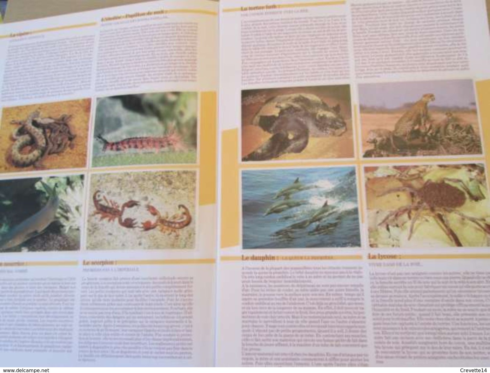 PUB914  Dossiers Chocolat Images Poulain "CONNAISSANCE DES ANIMAUX ET DE LEURS PETITS" Complet Avec Toutes Ses Images , - Chocolat