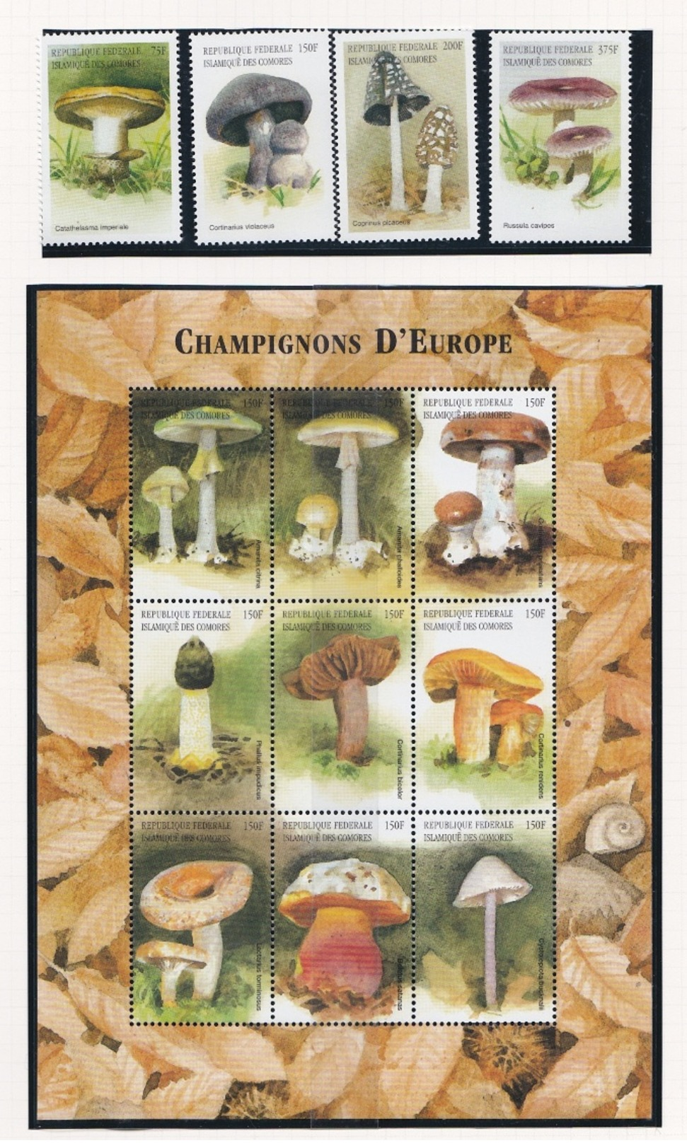 COMORES 1999 - Champignons