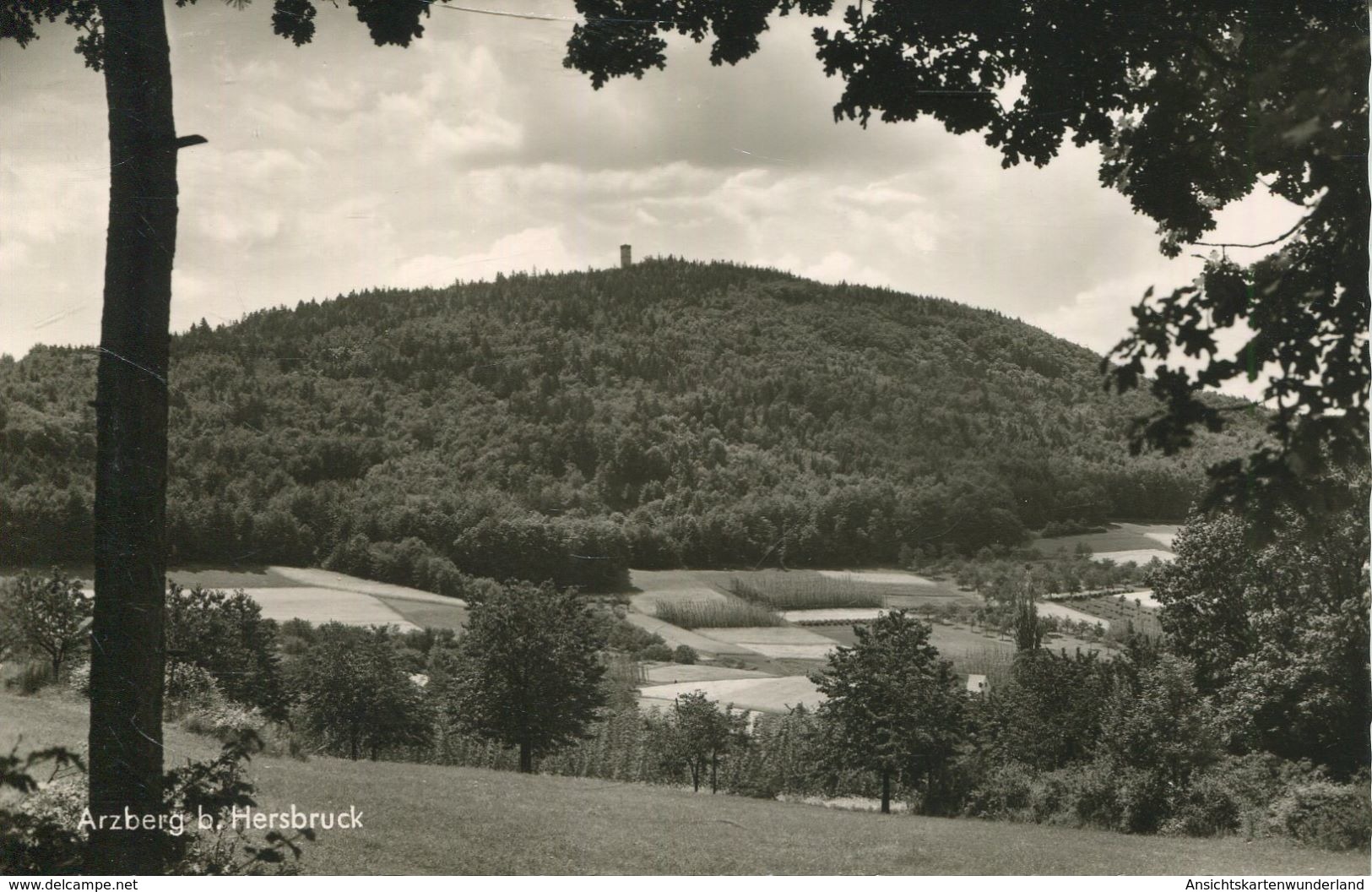 Arzberg B. Hersbruck (001536) - Hersbruck