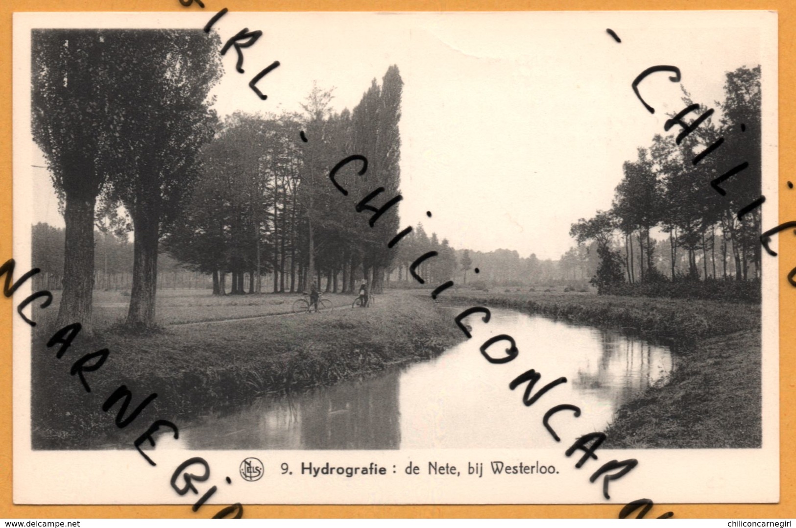 Hydrographie De Nete Bij Westerloo - Bicyclette - Animée - NELS - THILL - RORIVE VANNUFFELLE - Westerlo