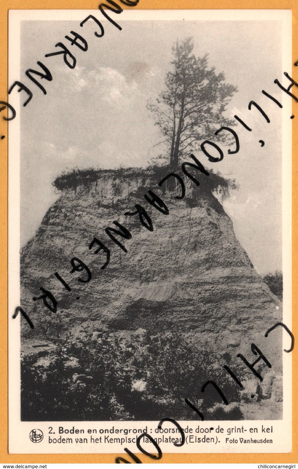 Boden En Ondergrond - Doorsnede Door De Grint En Kei Bodem Van Het Kempisch Laagplateau - VANHEUSDEN - NELS - THILL - Eghezée