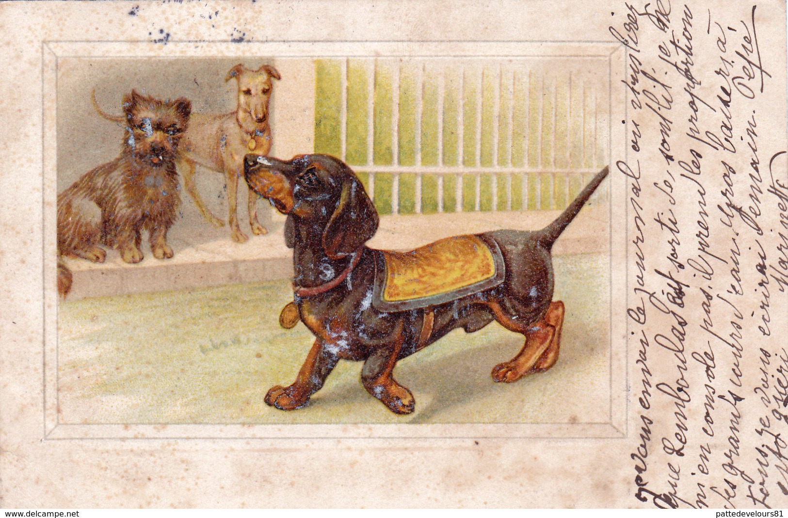 CPA Gaufrée Chien Dog Teckel Dackel Dachshund  Basset Vienne Viennoise (sans N°) Embossed (2 Scans) - Dogs