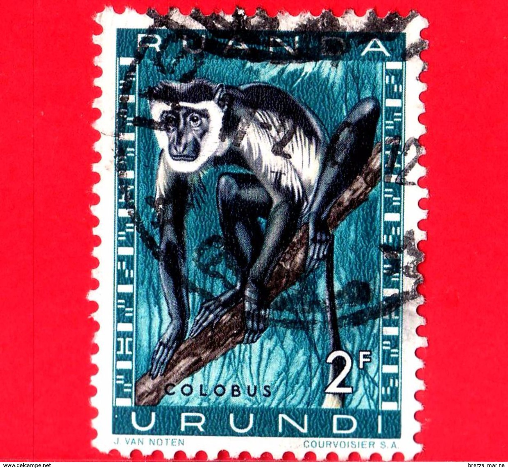 RUANDA - URUNDI - Usato -  1959 - Animali Protetti - Scimmie - Colobus Monkey (Colobus Sp.) - 2 - Usati