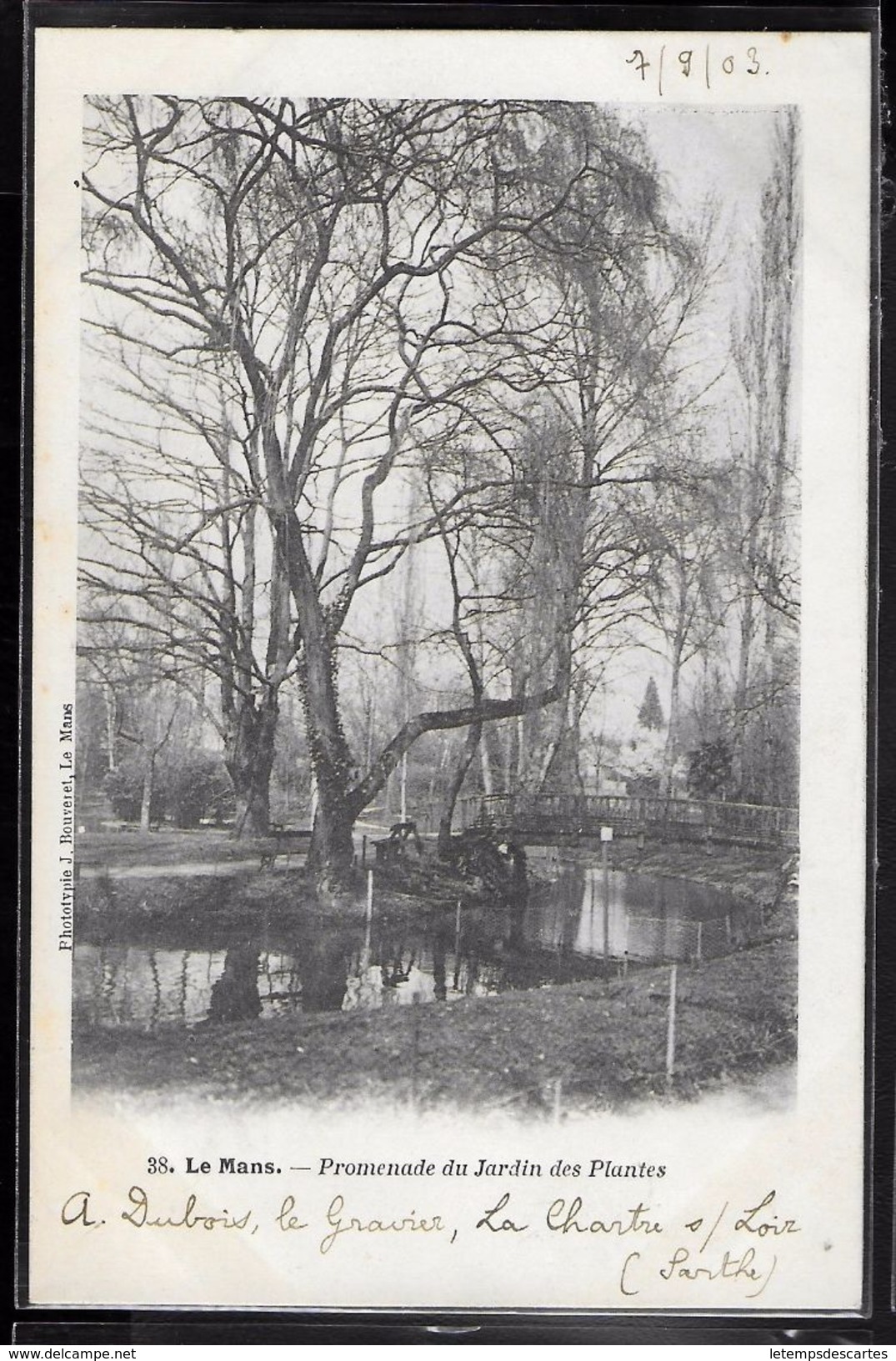 CPA 72 - Le Mans, Promenade Du Jardin Des Plantes - Le Mans