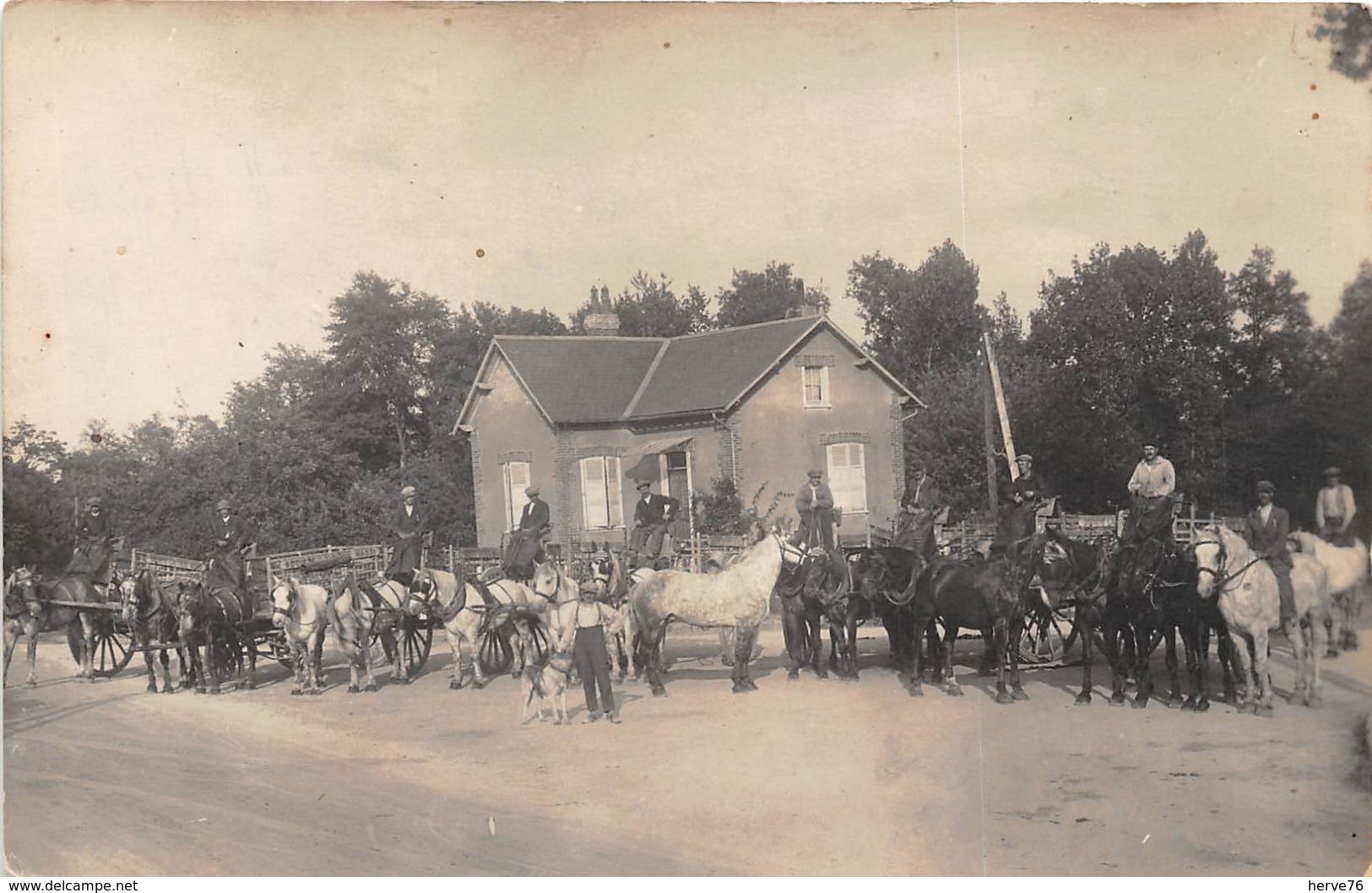 CPA à Identifier - Attelage Chevaux  - Inscription Sur Les Attelages : Société Laitière - Société Maggi - A Identifier