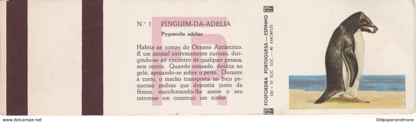 POCHETTE D'ALLUMETTE - Matchcovers Matchbook From Portugal - BIRD BIRDS   - PINGUIM DA ADÉLIA - PYGOSCELIS ADELIAE - Luciferdozen - Etiketten