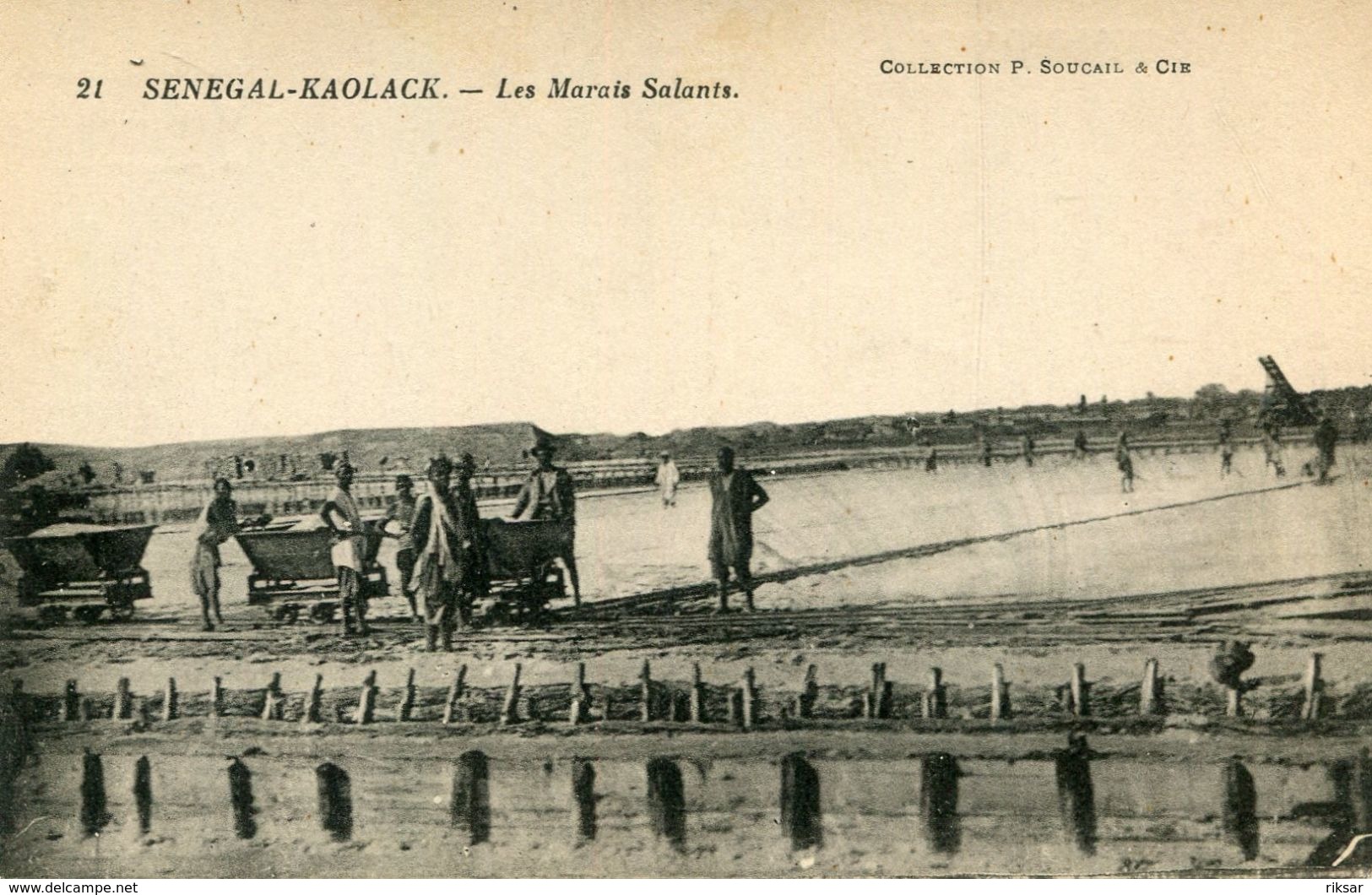 SENEGAL(KAOLACK) SEL(MARAIS SALANTS) - Sénégal