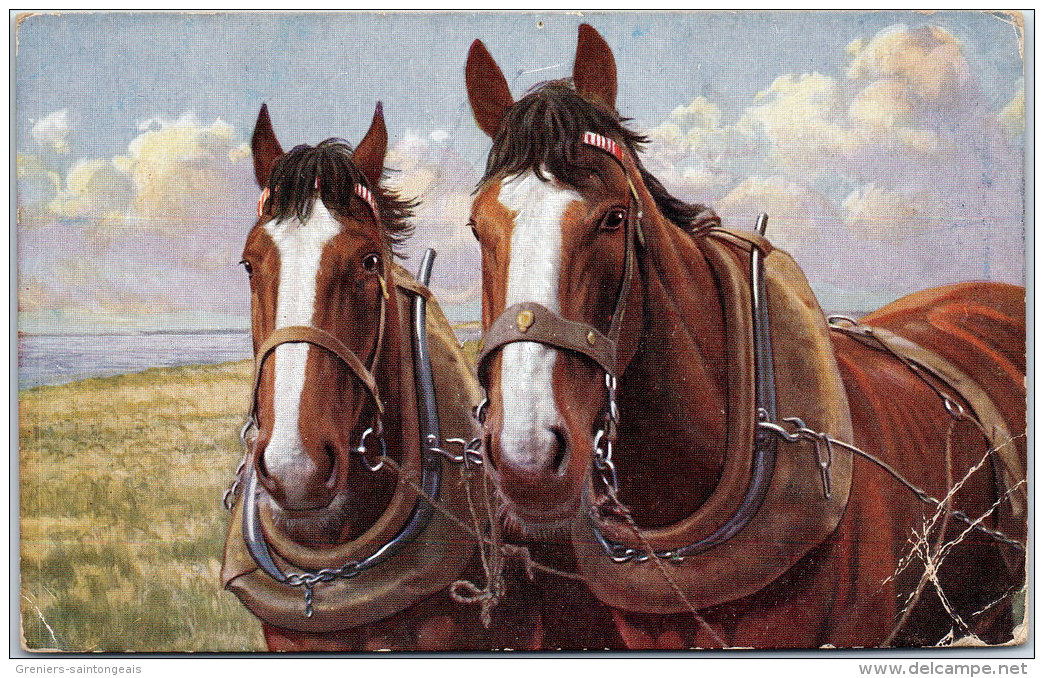 THEMES - CHEVAUX - Deux Chevaux De Trait, - Chevaux