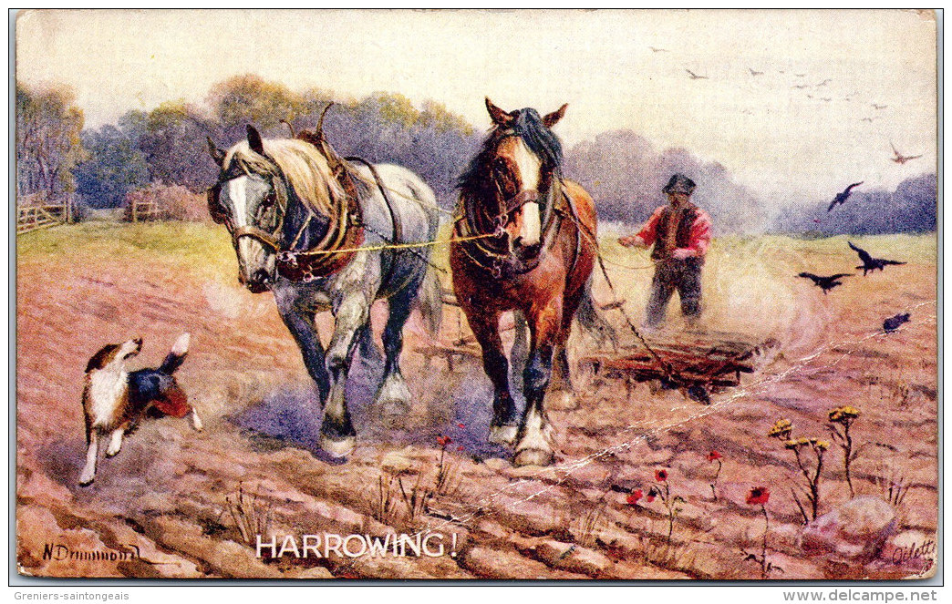 THEMES - CHEVAUX - Harrowing - Caballos