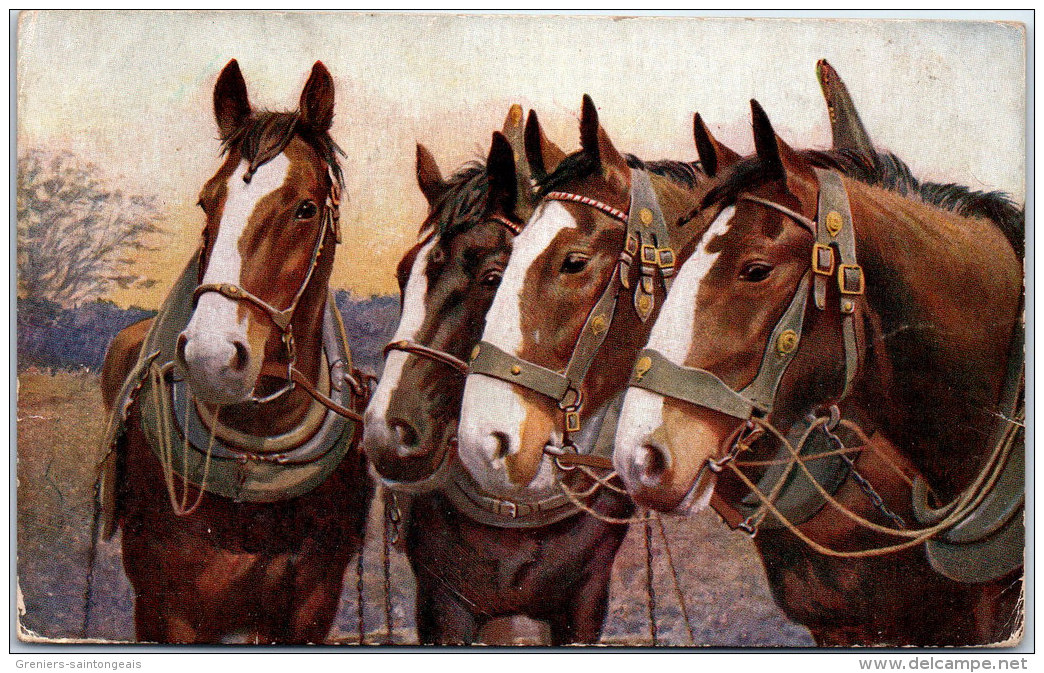 THEMES - CHEVAUX - Quatre Chevaux De Trait, - Horses