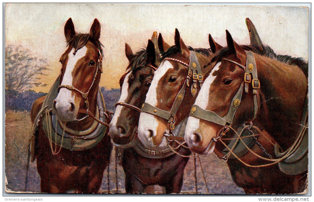 THEMES - CHEVAUX - Quatre Chevaux De Trait, - Chevaux