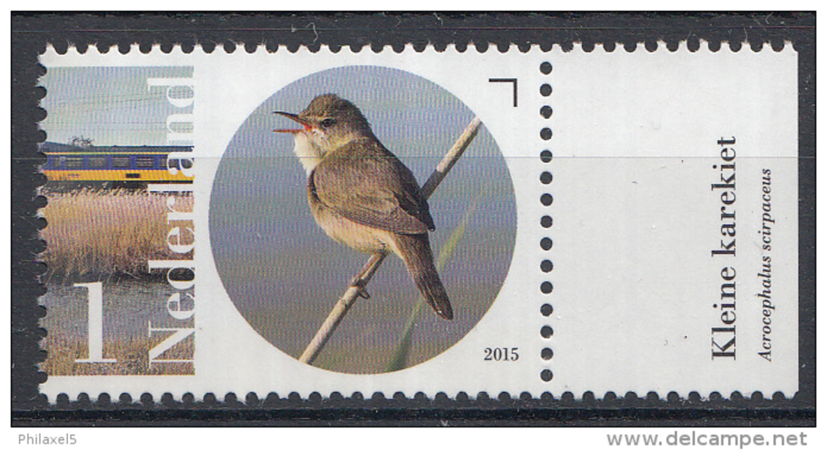 Nederland - Flora En Fauna Naardermeer - Kleine Karakiet - MNH - NVPH 3292 - Songbirds & Tree Dwellers