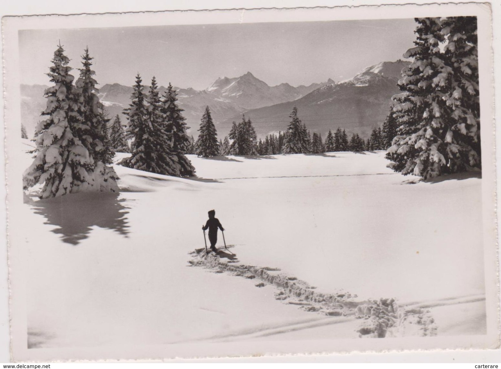 SUISSE,valais,CRANS SUR SIERRE,prés D'icogne,lens Montana,SKIEUR,CARTE PHOTO DUBOST - Sierre