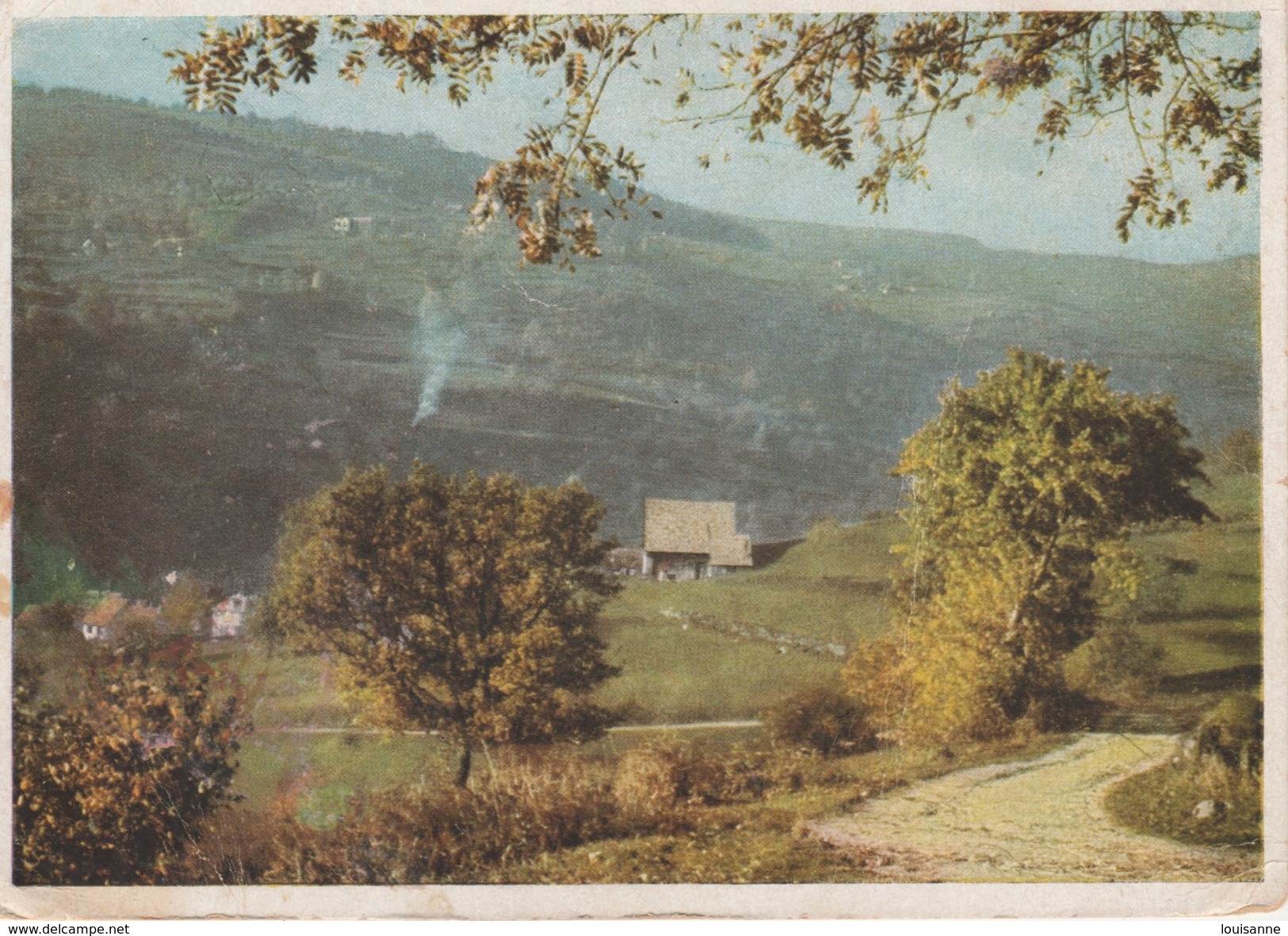 17 / 11 / 292  +  MÜNSTERTAL  ( BAD WU )  - PAYSAGE    -  CPM ( GRD. MOD. ) - Muenstertal