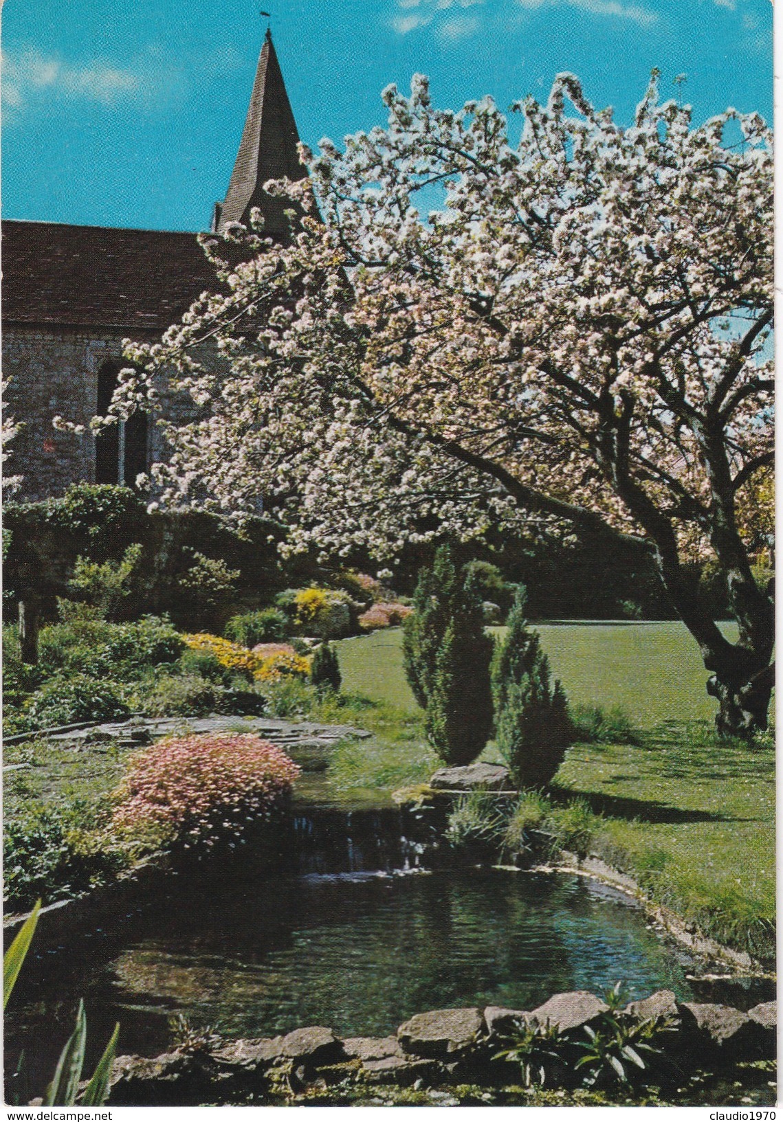 CARTOLINA - POSTCARD - TEMATICA - DI PIANTE - Alberi