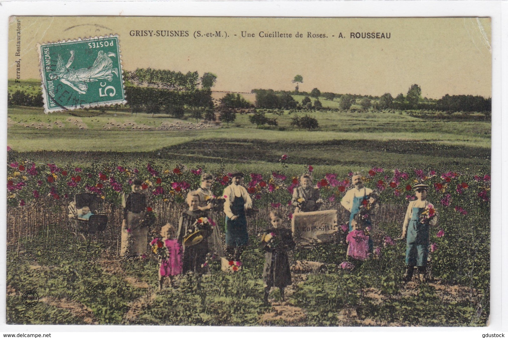 Seine-et-Marne - Gruisy-Suisnes - Une Cueillette De Roses - A. Rousseau - Autres & Non Classés