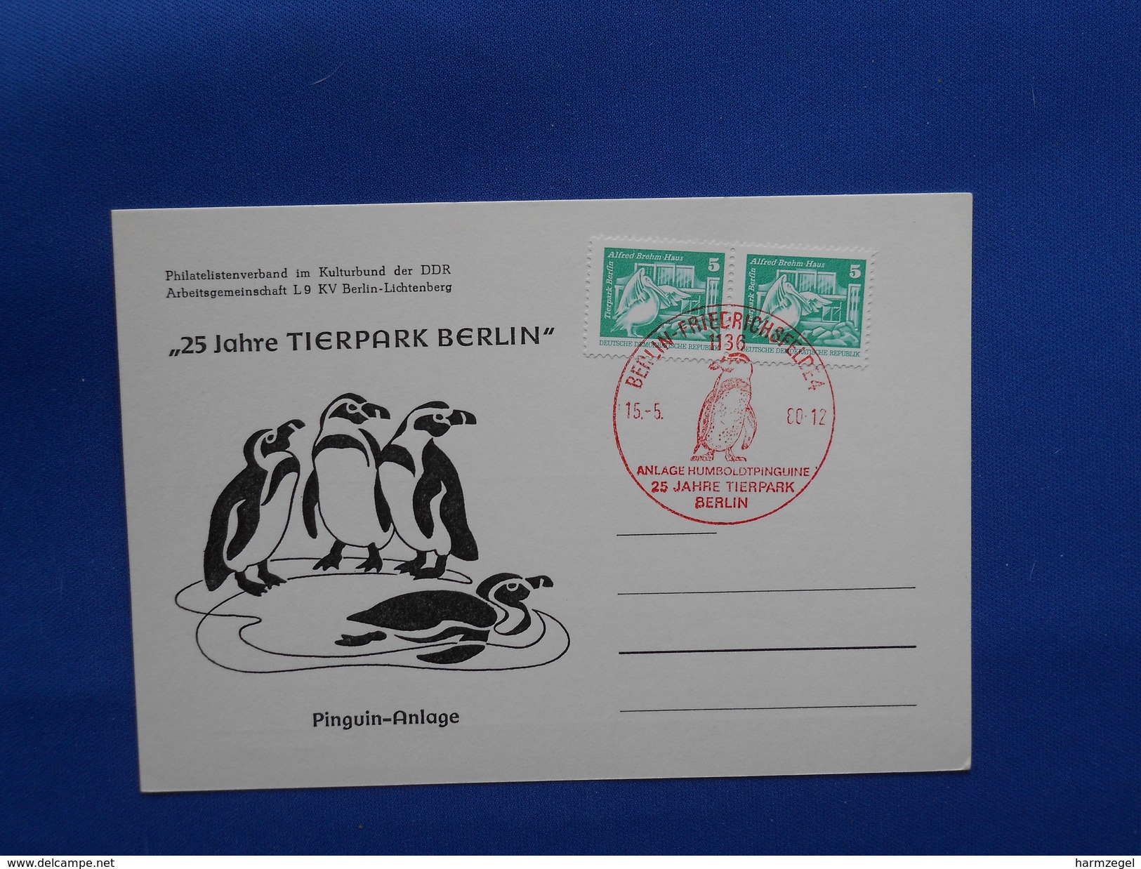 Penguin, Zoo - Pinguïns & Vetganzen