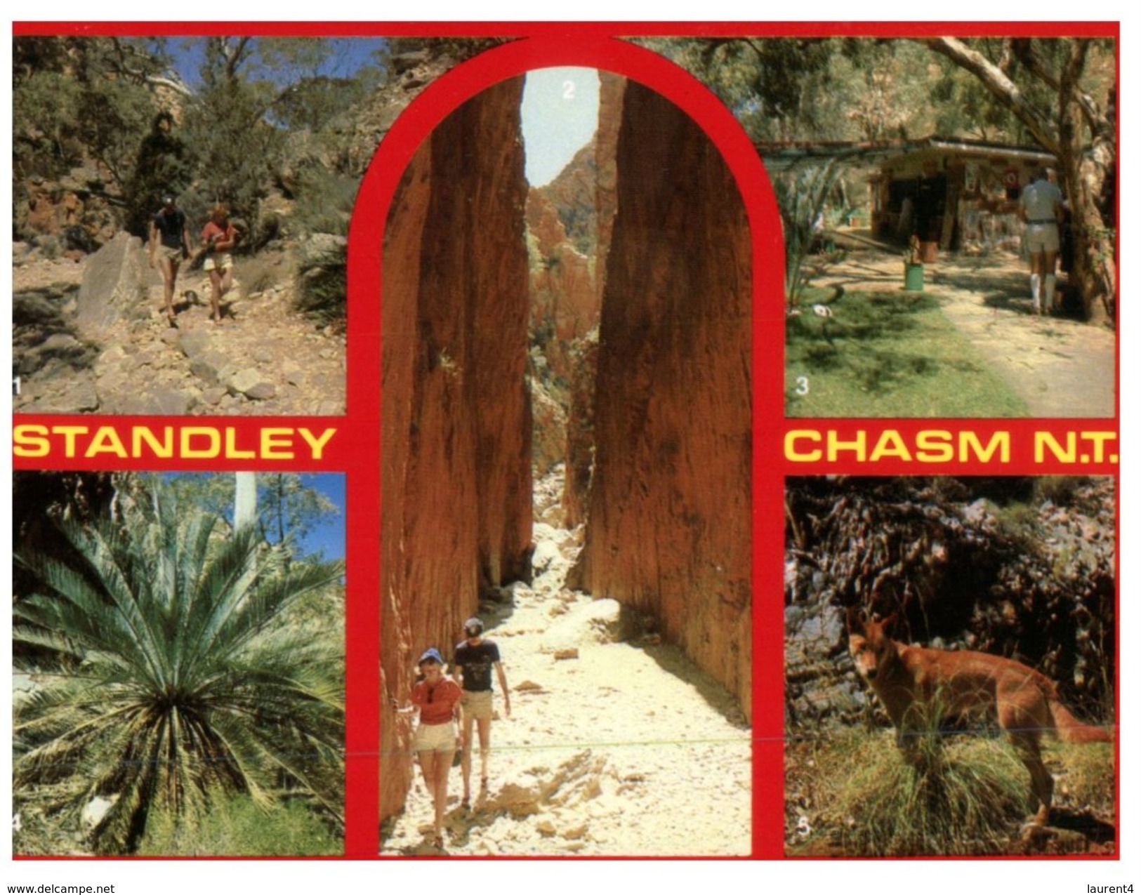 (365) Australia - (with Stamp At Back Of Card) - NT - Standley Chasm With Dingo - The Red Centre