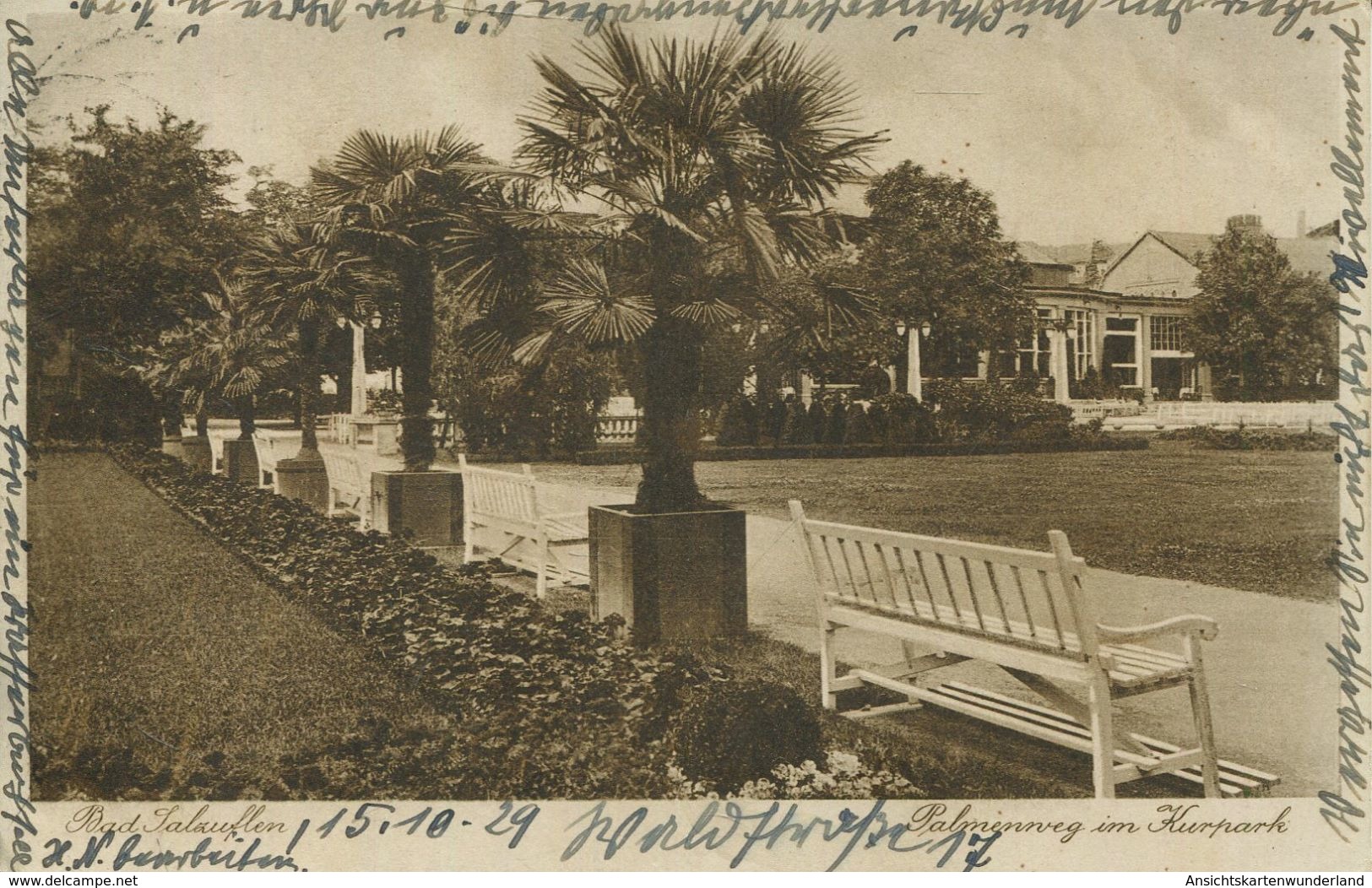 Bad Salzuflen - Palmenweg Im Kurpark (001578) - Bad Salzuflen