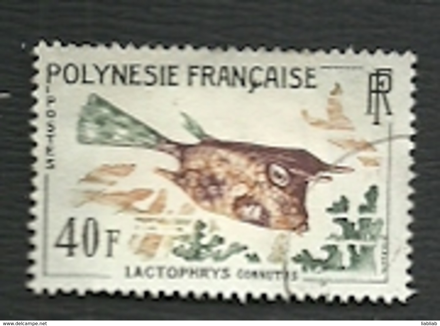 POLYNESIE   =  TIMBRE  POSTE  N° 21* + 25* + 26* - Neufs