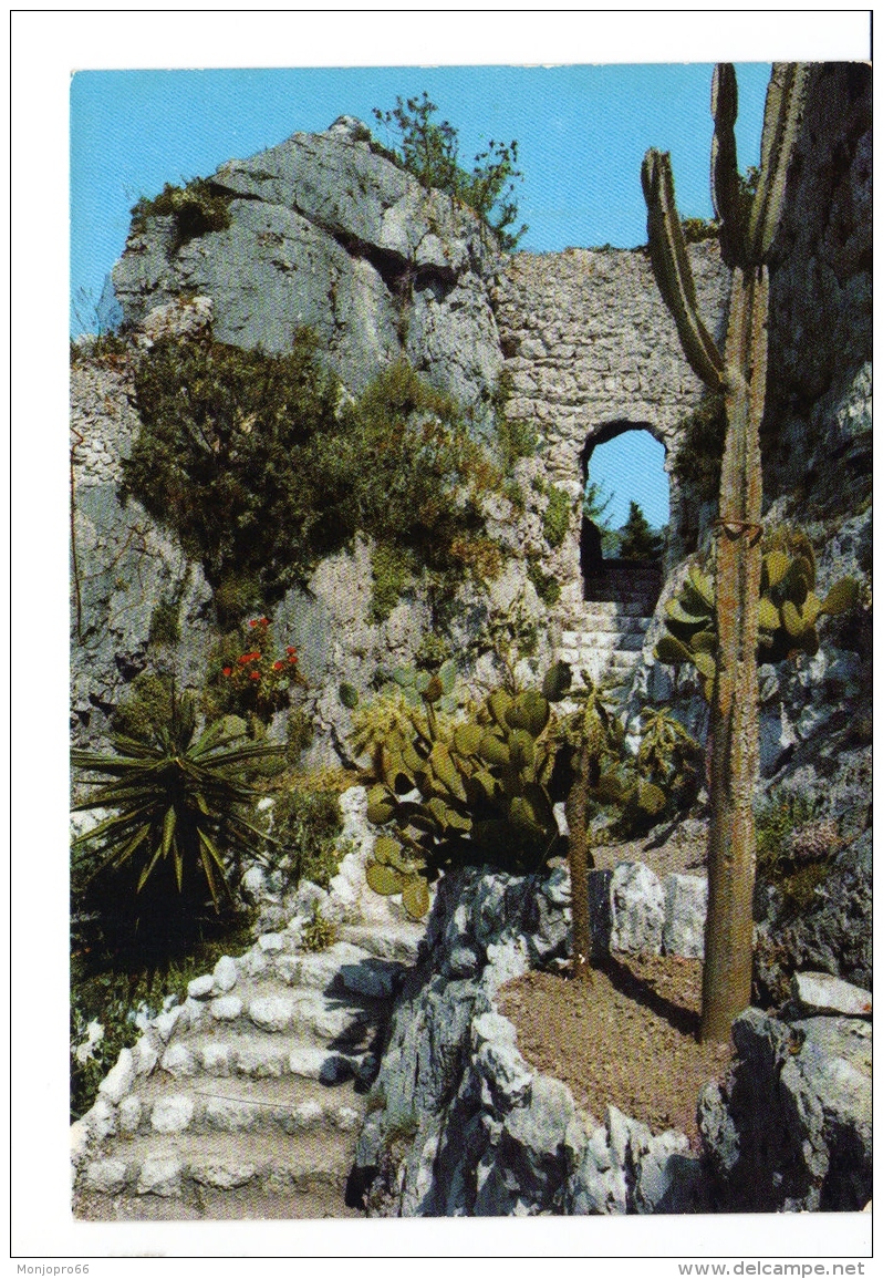 CPM De Eze-Village &ndash; Le Jardin Exotique (Alpes Maritime) - Eze