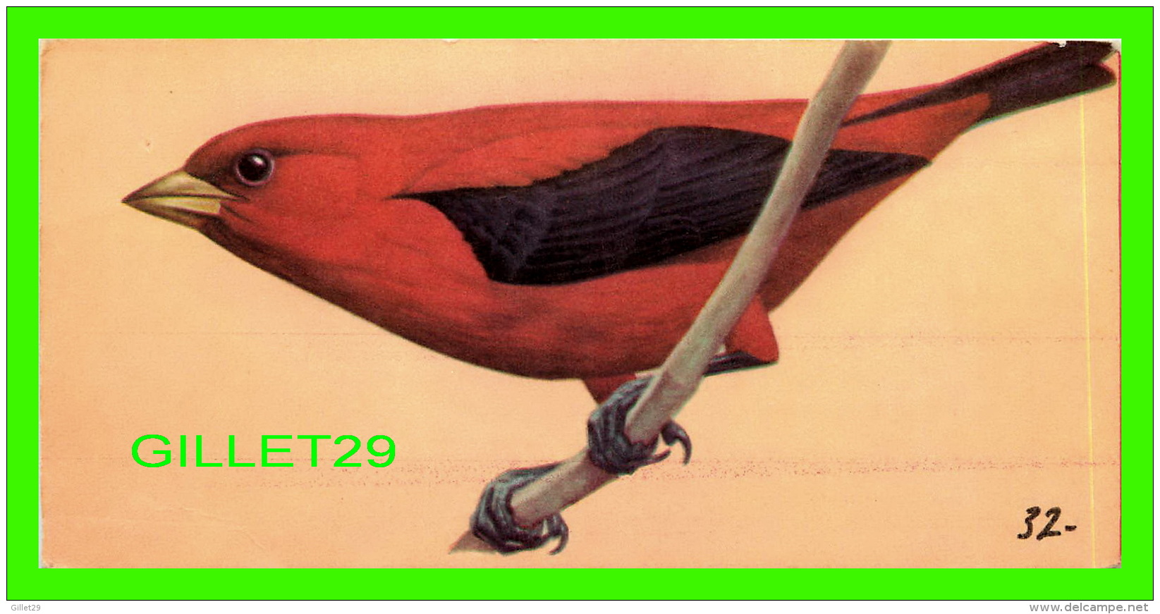 FICHES ILLUSTRÉES OISEAUX - BIRDS,  SCARLET TANAGER  - No 32   - - Animales