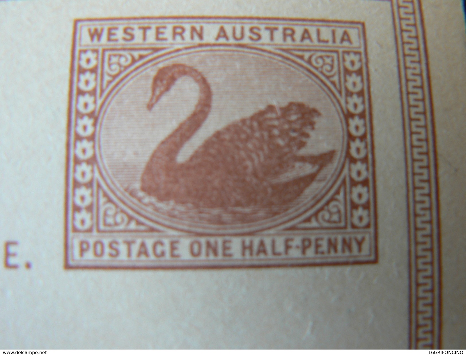 ANCIENT  POST CARD OF  WESTERN AUSTRALIA OF ONE HALF PENNY.....ANTICA CARTA POSTALE NUOVA DI AUSTRALIA - Mint Stamps