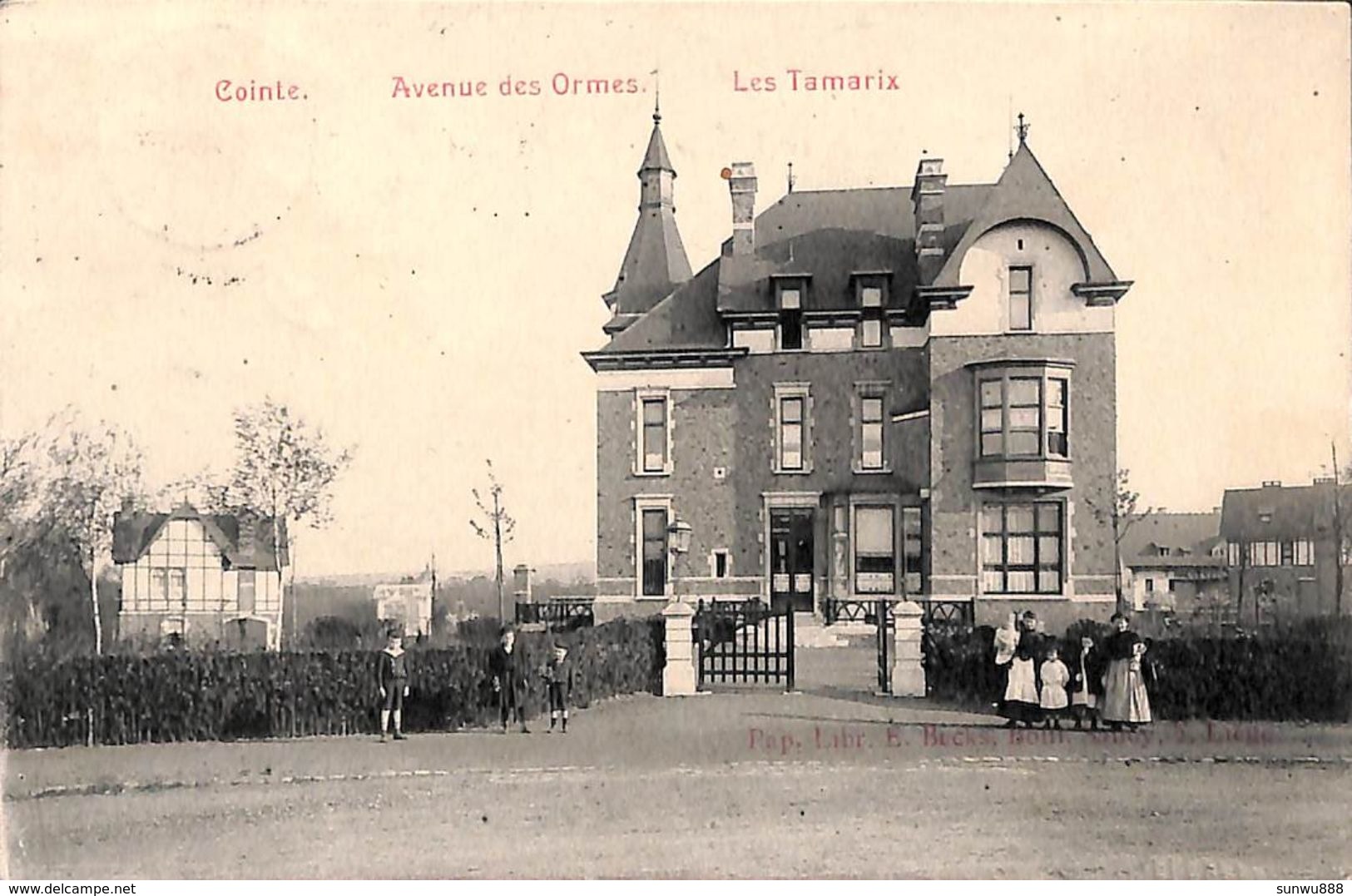 Cointe - Avenue Des Ormes - Les Tamarix (animée, E. Becks, 1908) - Luik