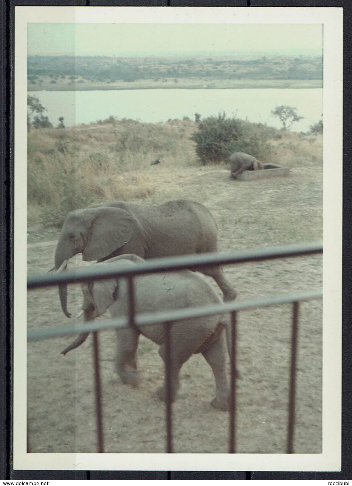 Afrika, Natur, Savanne, Elefanten Von Hobbyfotograf (2) - Afrika