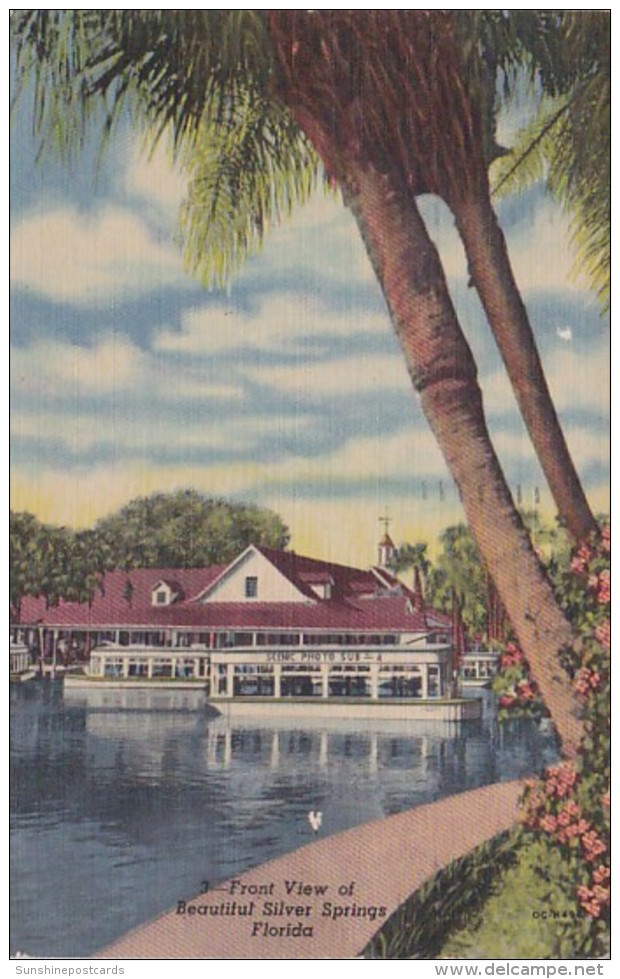 Florida Silver Springs Front View 1950 Curteich - Silver Springs