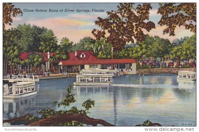 Florida Silver Springs Glass Bottom Boats Curteich - Silver Springs