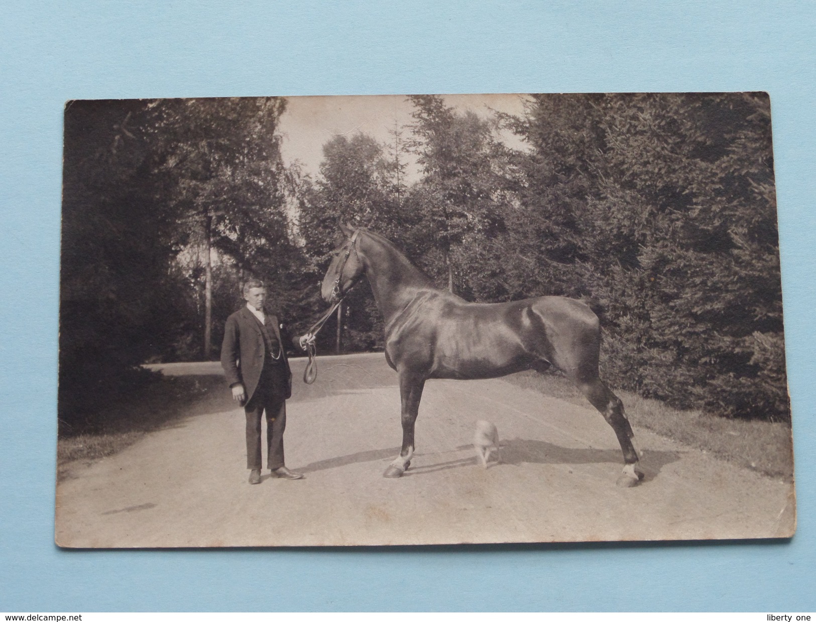 Man Met PAARD / CHEVAL / HORSE / PFERD "" Beautiful Horse "" ( Foto J. Piron Namur /zie Foto's Voor Detail ) ! - Sonstige & Ohne Zuordnung