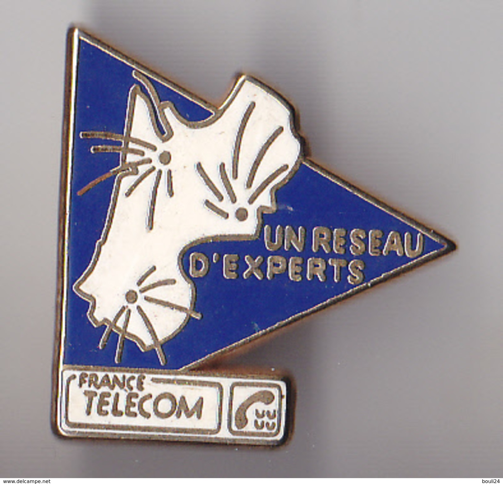 PIN'S THEME  FRANCE TELECOM  UN RESEAU EXPERTS  AQUITAINE - France Telecom