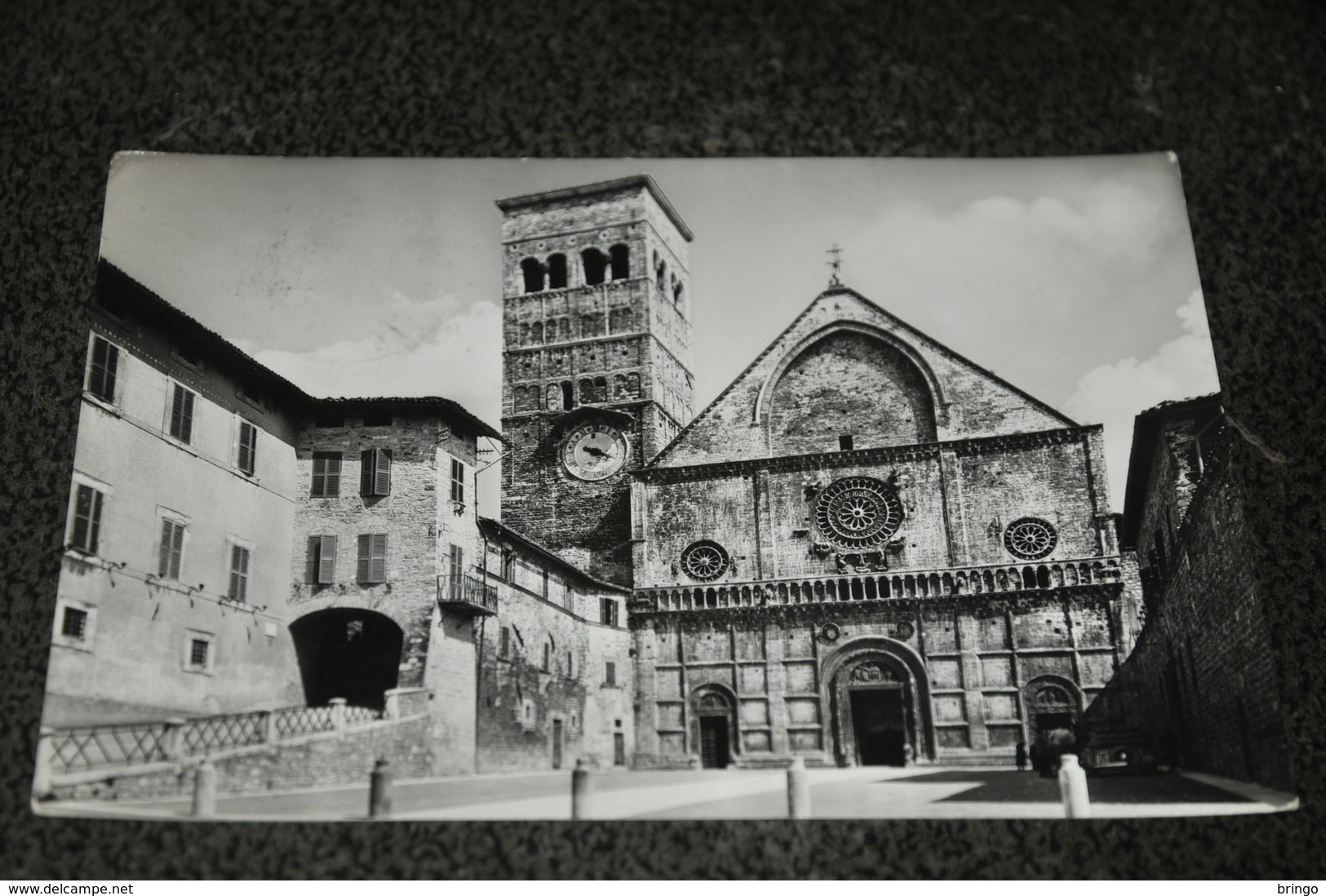 832- Assisi, Duomo - Chiese E Conventi