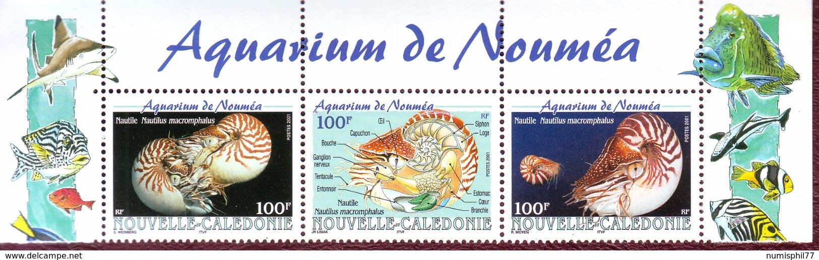 NOUVELLE - CALEDONIE 2001 - Aquarium De Nouméa. Nautile - YT N° 840/842 - Neuf ** - Neufs