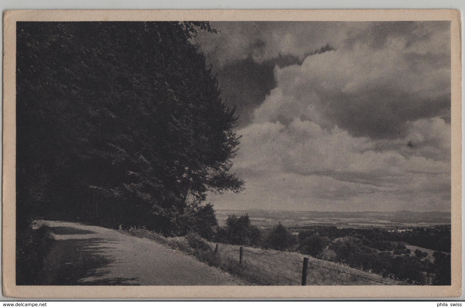 Zürichberg - Blick Von Der Batteriestrasse Oberhalb Allmend Fluntern - Fluntern