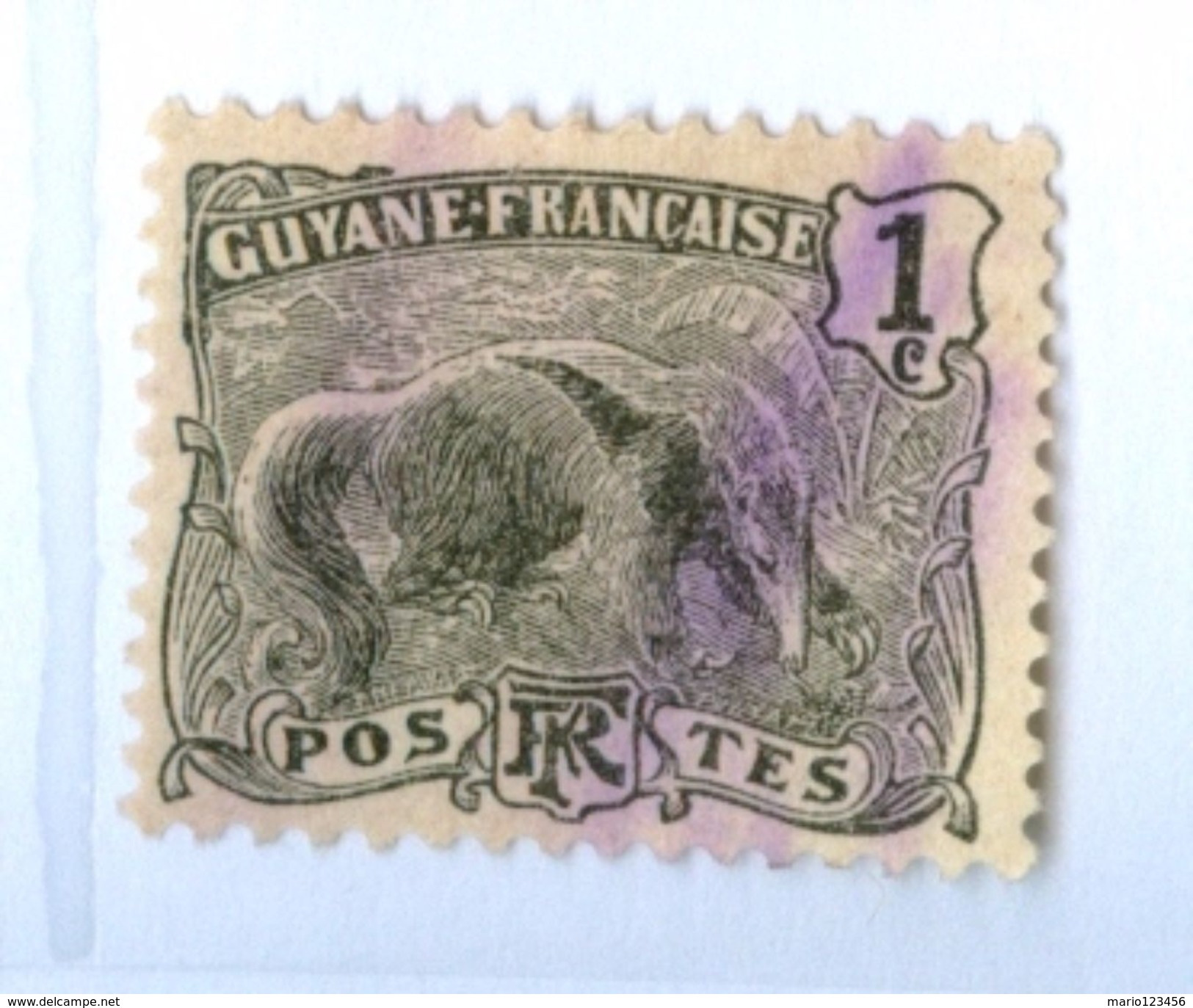 GUIANA FRANCESE, COLONIE FRANCESI, FRENCH COLONIES, FAUNA, ANIMALI, 1904, FRANCOBOLLI USATI Scott 51, Yvert Et Tellier 4 - Used Stamps