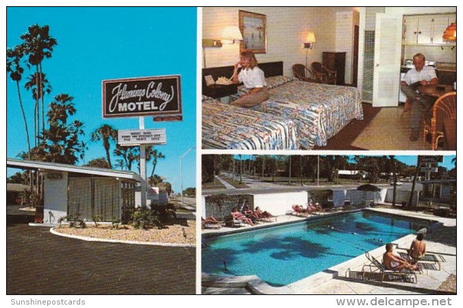 Florida Sarasota Flamingo Colony Motel - Sarasota