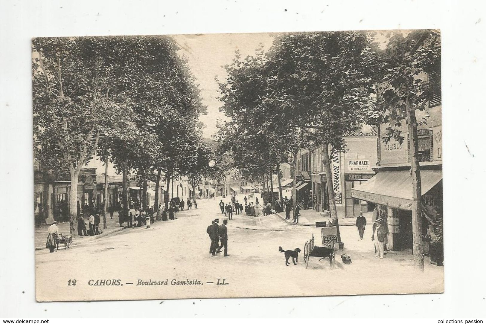 Cp , 46 , CAHORS , Boulevard GAMBETTA , Voyagée 1923 - Cahors