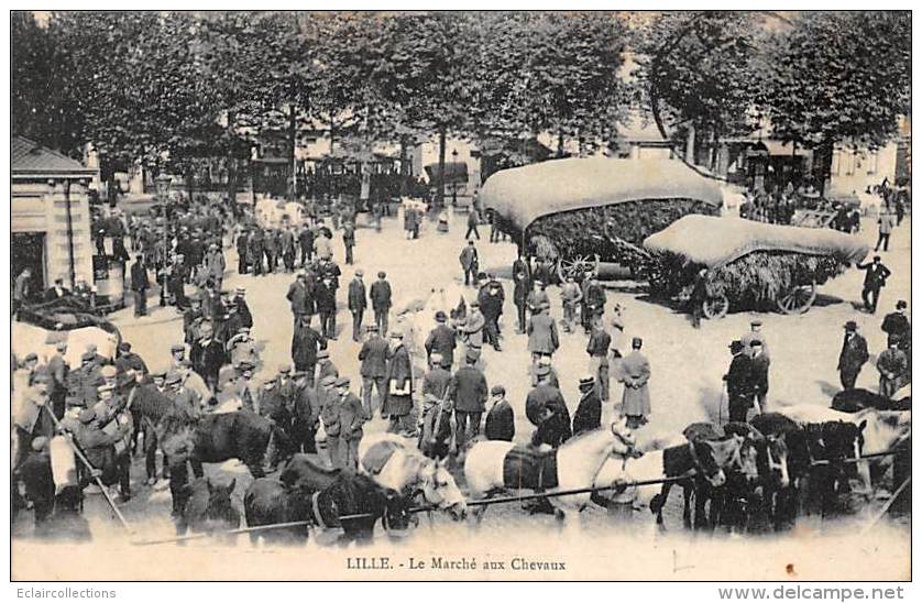 Lille      59          Le Marché Aux Chevaux      (voir Scan) - Lille