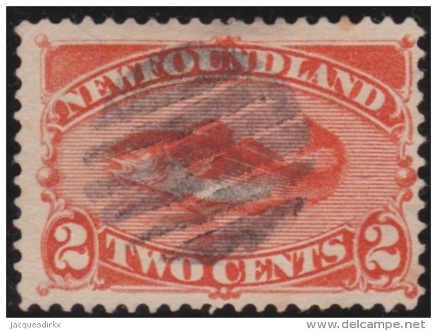 Newfoundlans    .    SG   .    51        .     O      .     Gebruikt   .    /      .        Cancelled - 1865-1902