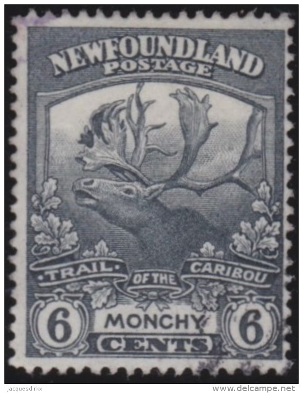 Newfoundlans    .    SG   .     135        .       O      .     Gebruikt   .    /      .        Cancelled - 1908-1947