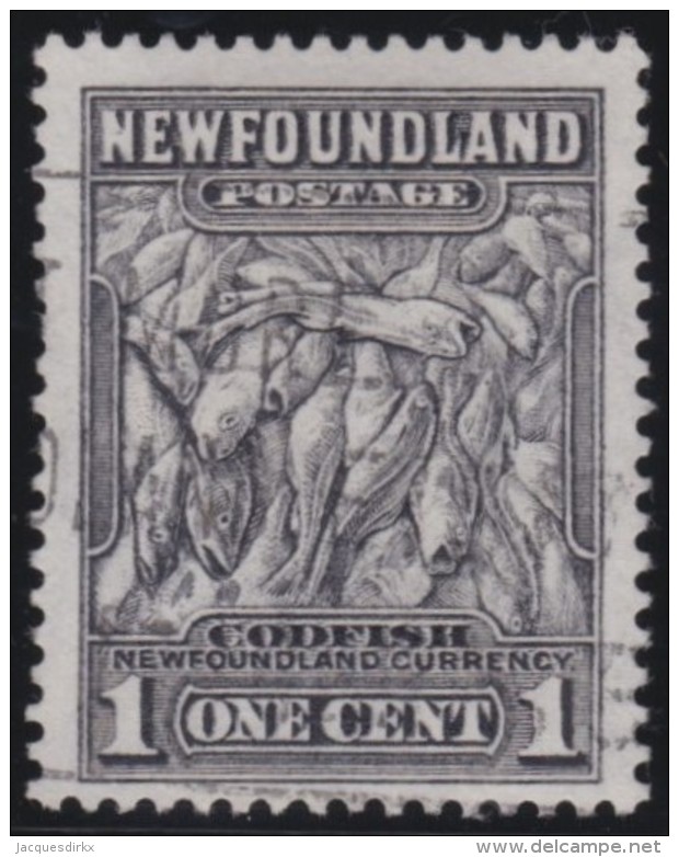 Newfoundlans    .    SG   .     222      .       O      .     Gebruikt   .    /      .        Cancelled - 1908-1947